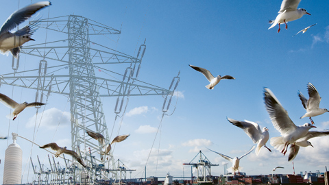 Strommast mit vorbeifliegenden Möven