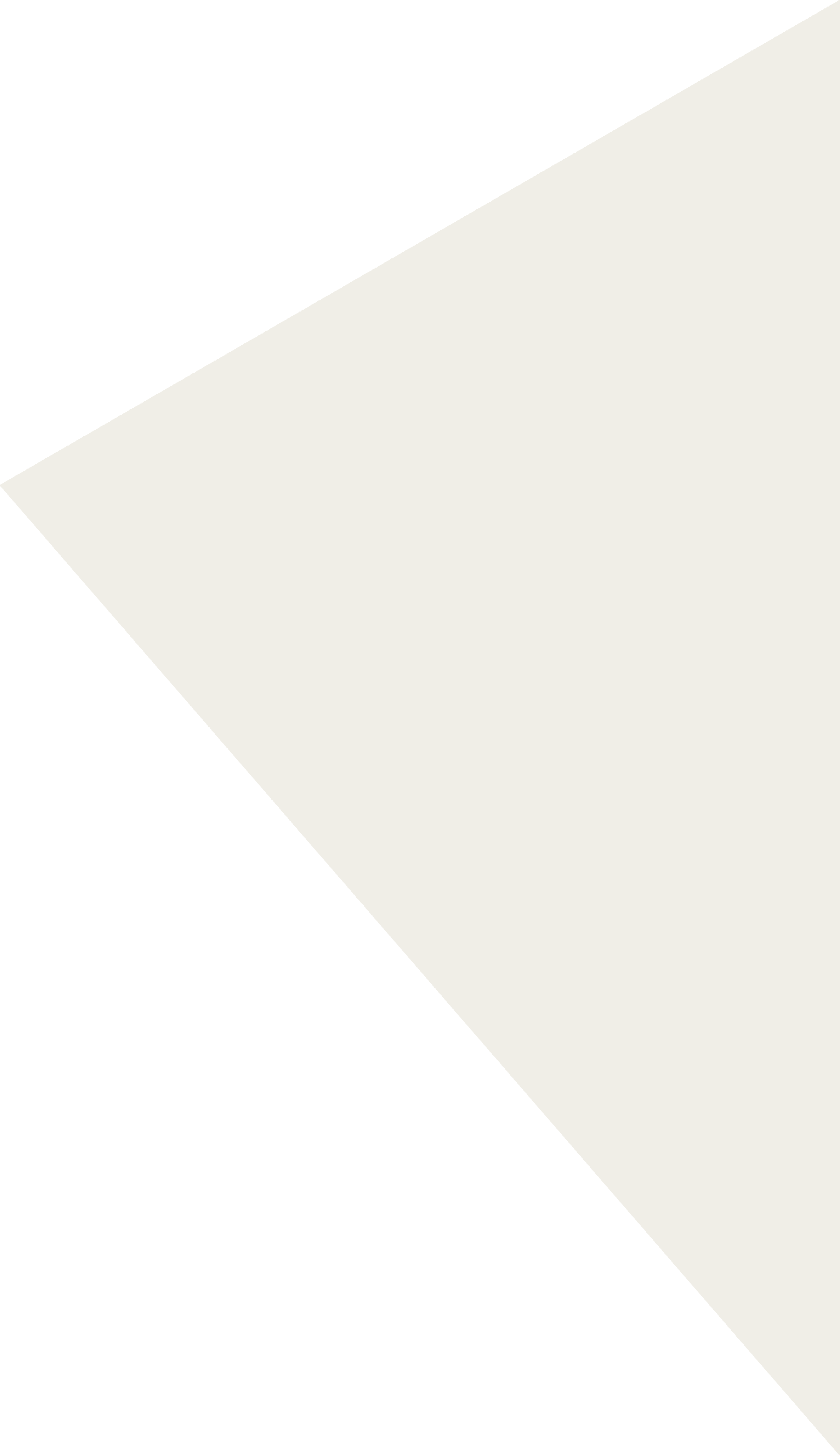 Roter dreieckiger Teil vom SILVESTERGROUP Logo